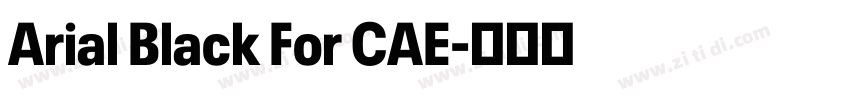 Arial Black For CAE字体转换